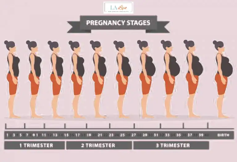First Trimester (Weeks 1–12): Early Changes You Might Not Notice Gerrards Cross
